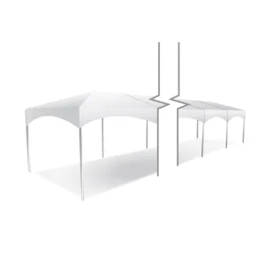 10x110 Master Series Frame Tent