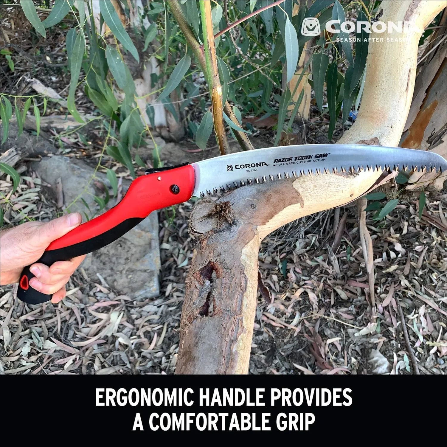 7 in Pruning Saw