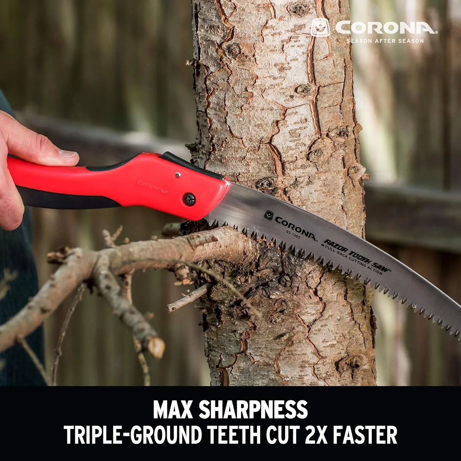 7 in Pruning Saw