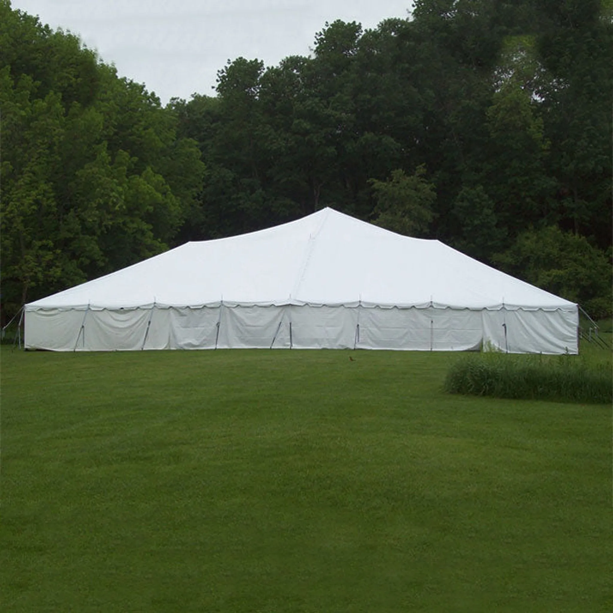 80x100 Classic Series Pole Tent