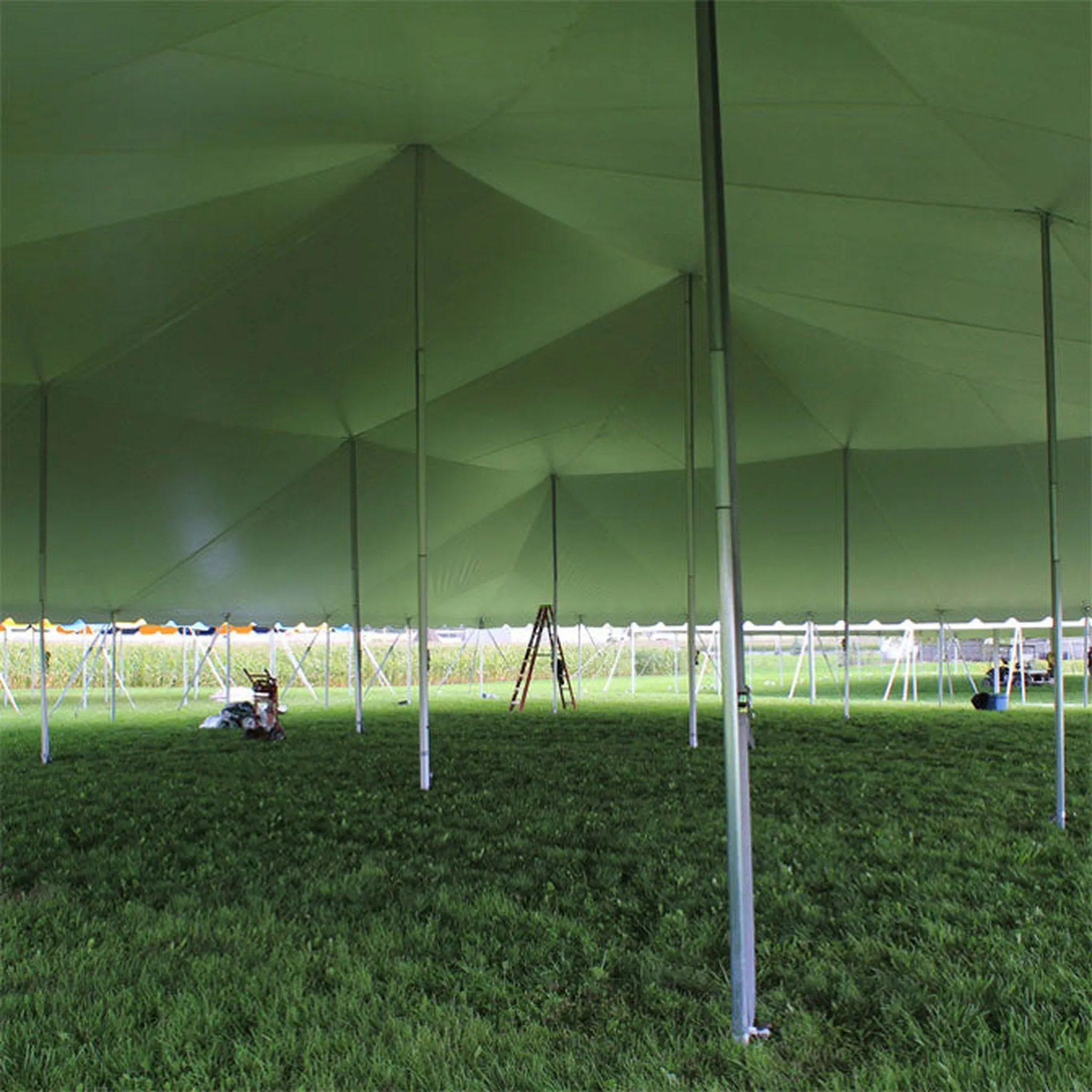 80x100 Classic Series Pole Tent
