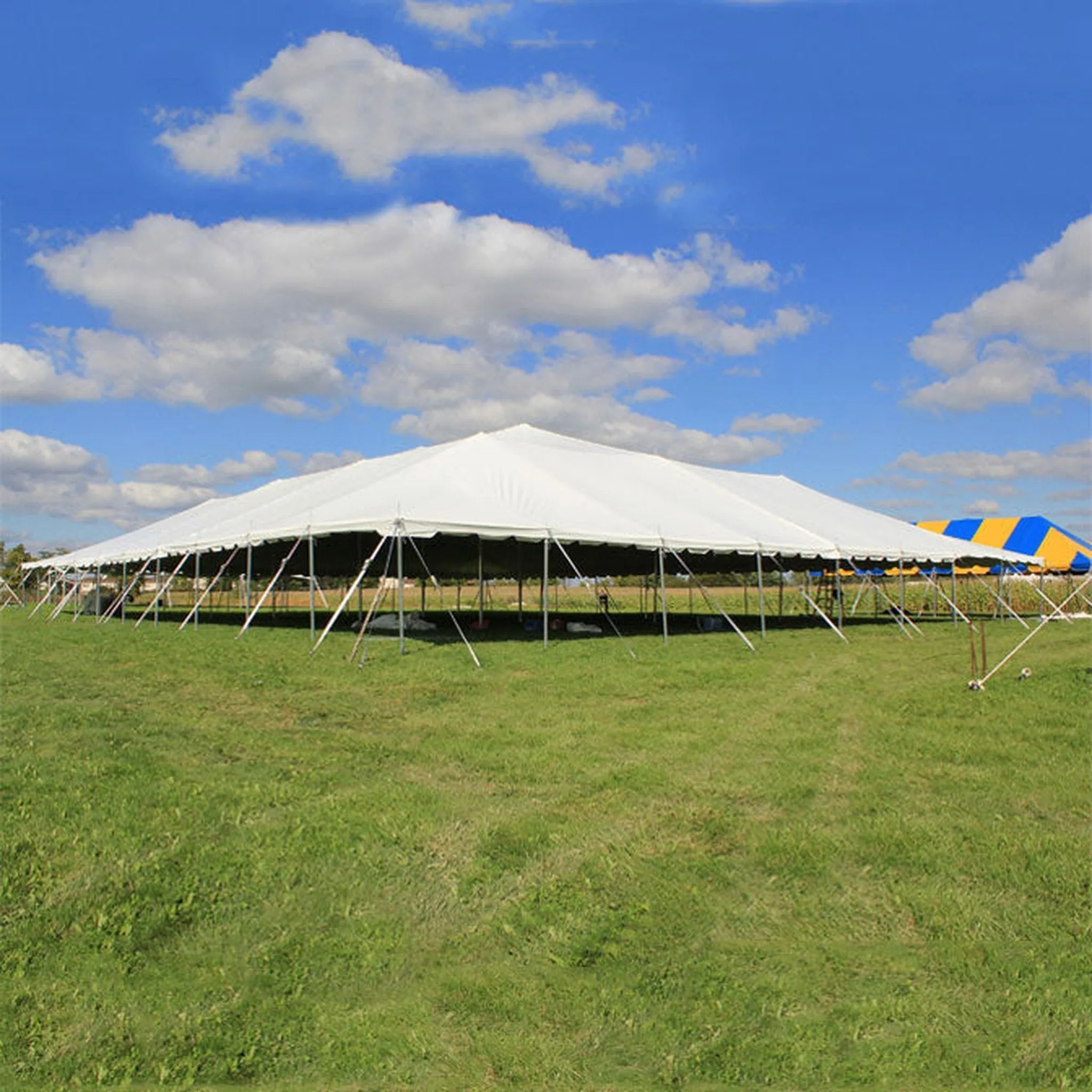 80x100 Classic Series Pole Tent