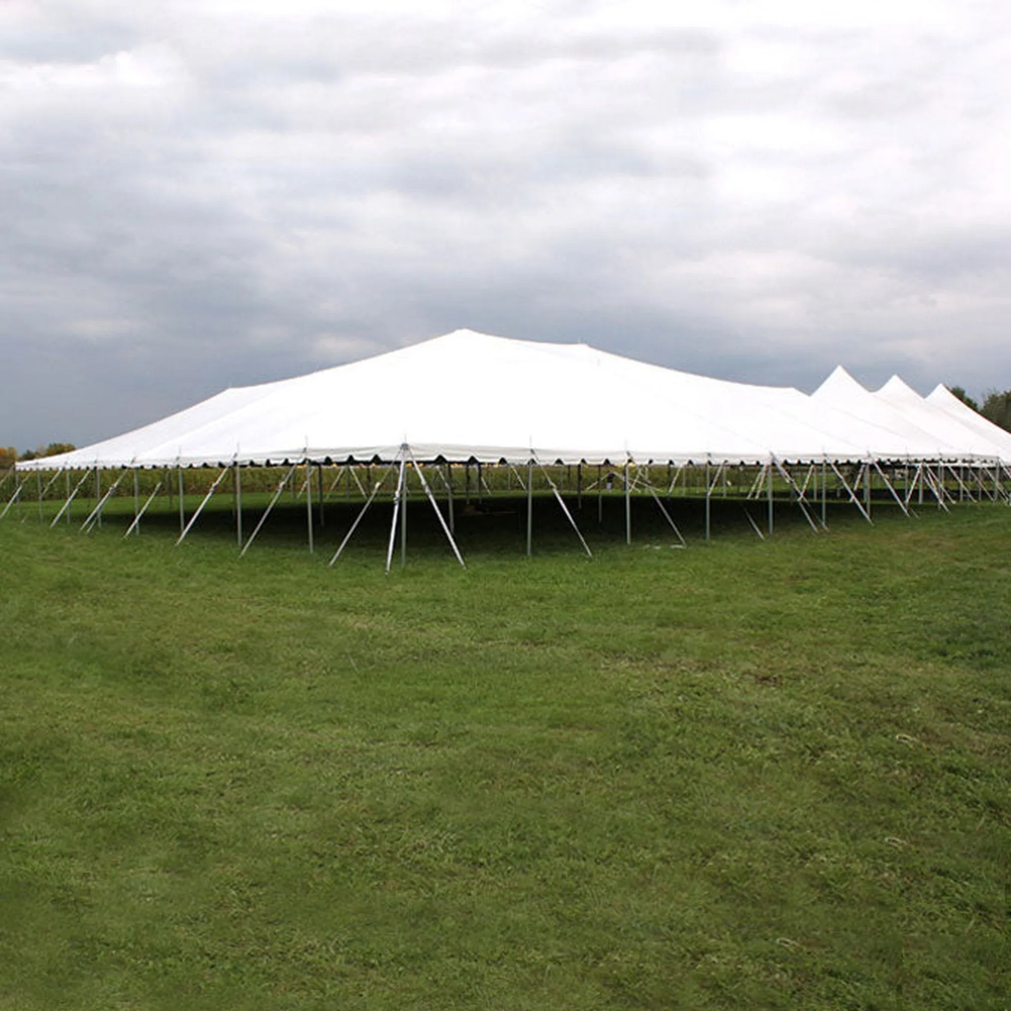 80x100 Classic Series Pole Tent