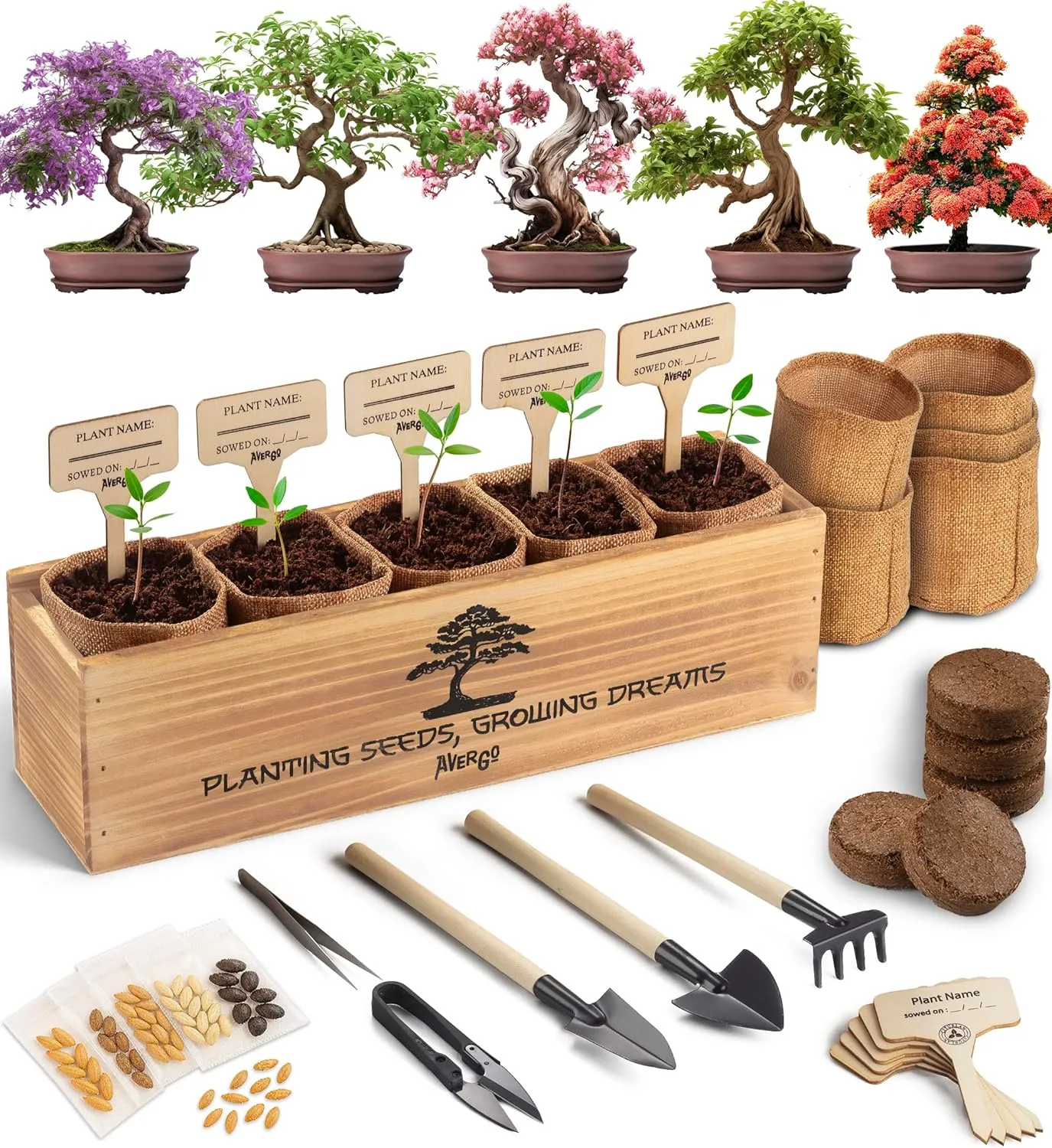 Bonsai Tree Kit – 5X Unique Japanese Bonzai Trees | Complete Indoor Starter Kit for Growing Bonsai Plants with Tools & Planters – Gardening Gifts for Women & Men