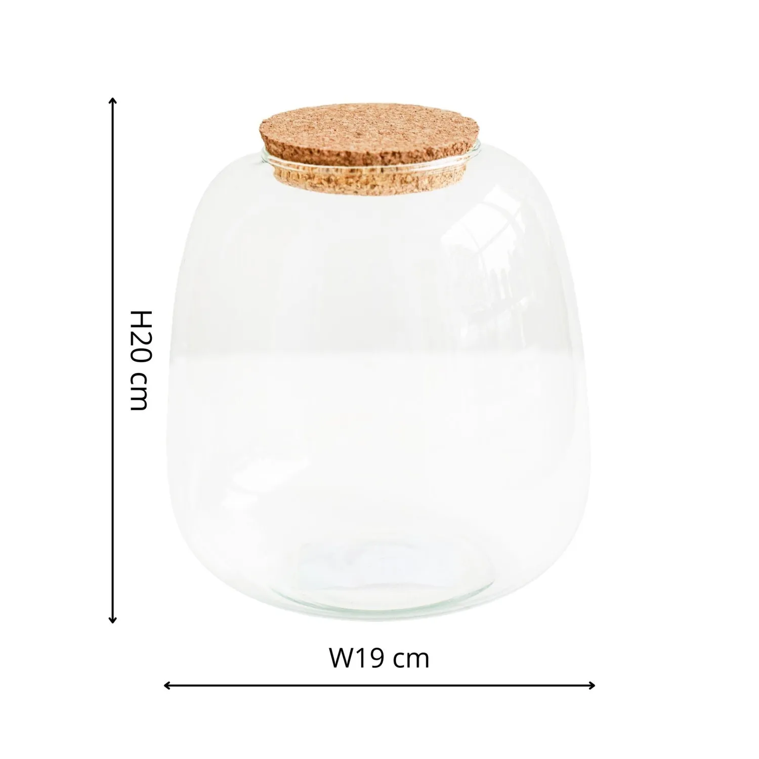 Bowl Shape Terrarium DIY Kit