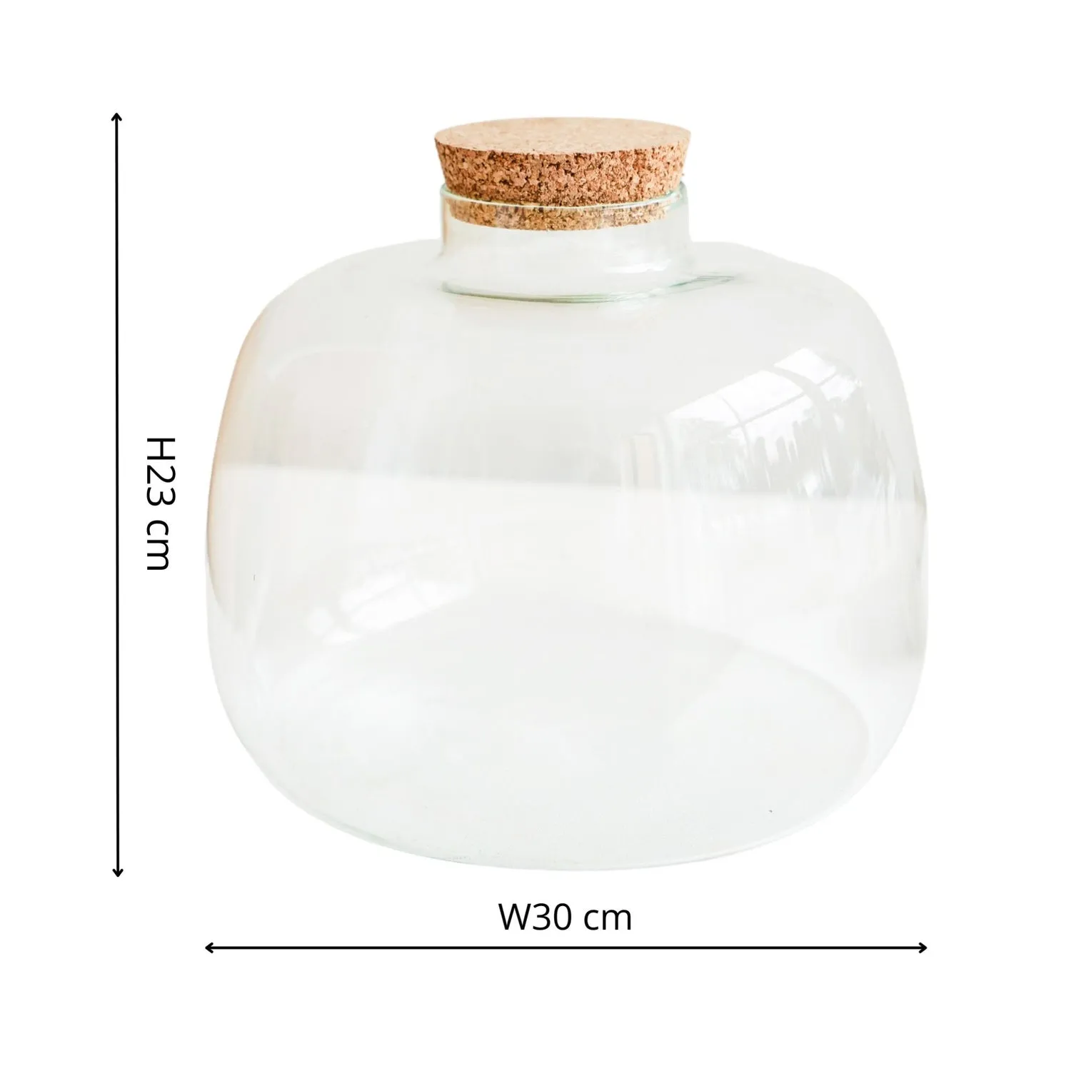 Bowl Shape Terrarium DIY Kit