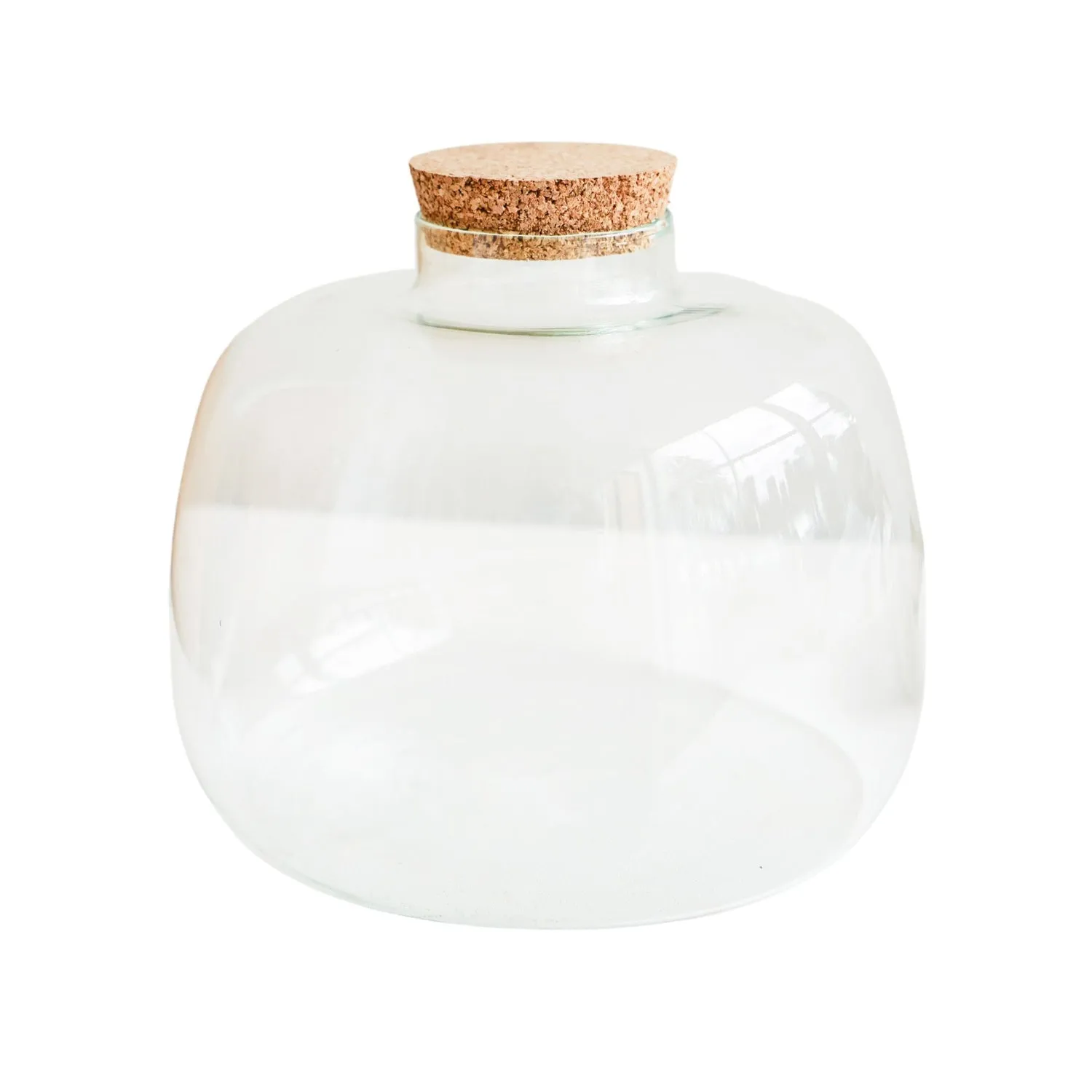 Bowl Shape Terrarium DIY Kit