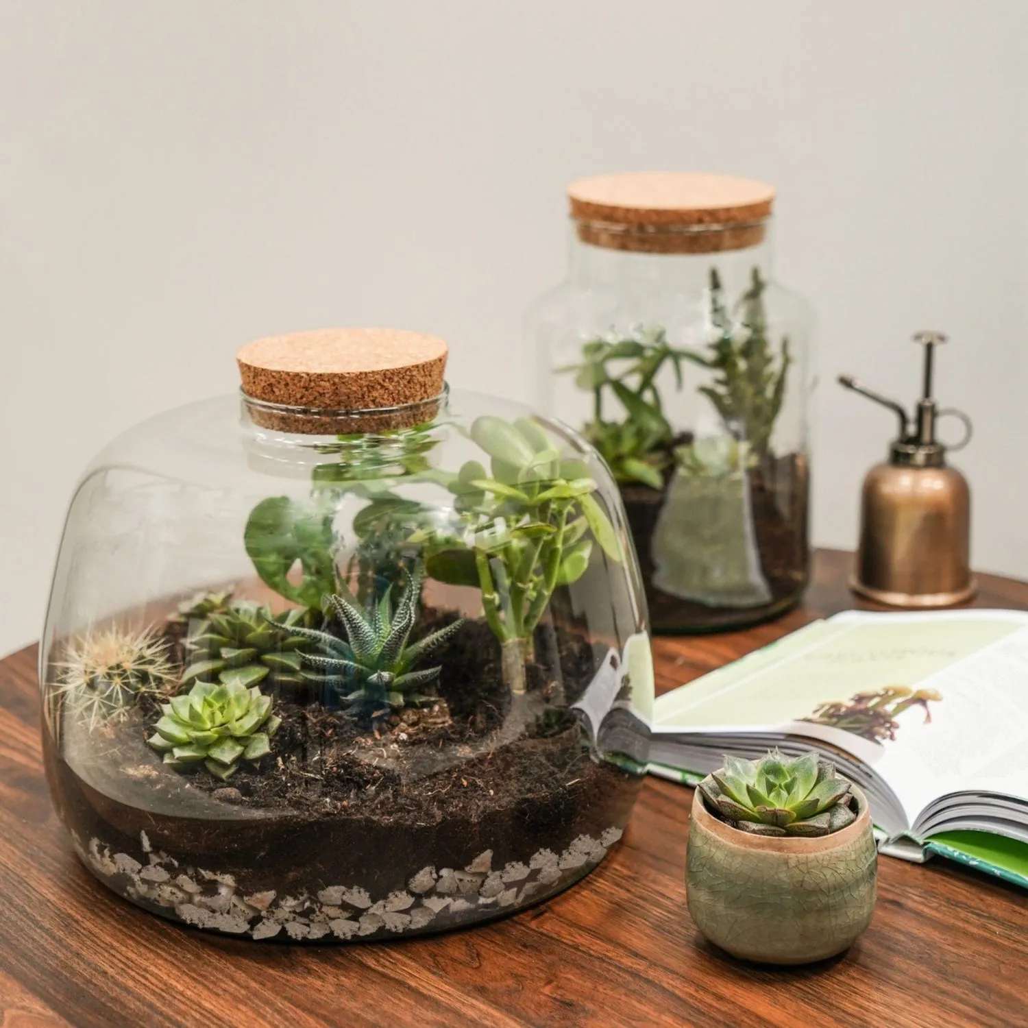 Bowl Shape Terrarium DIY Kit