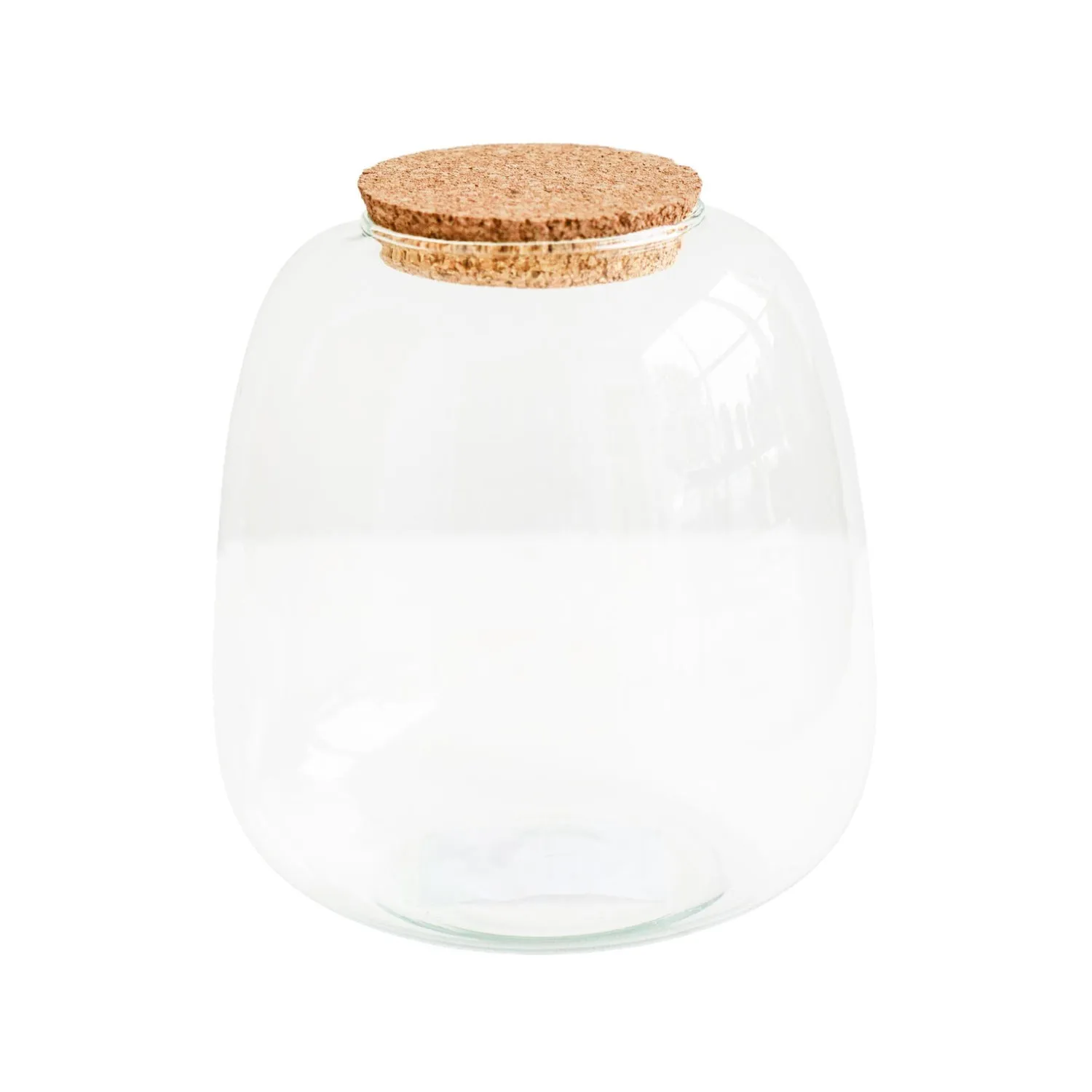 Bowl Shape Terrarium DIY Kit