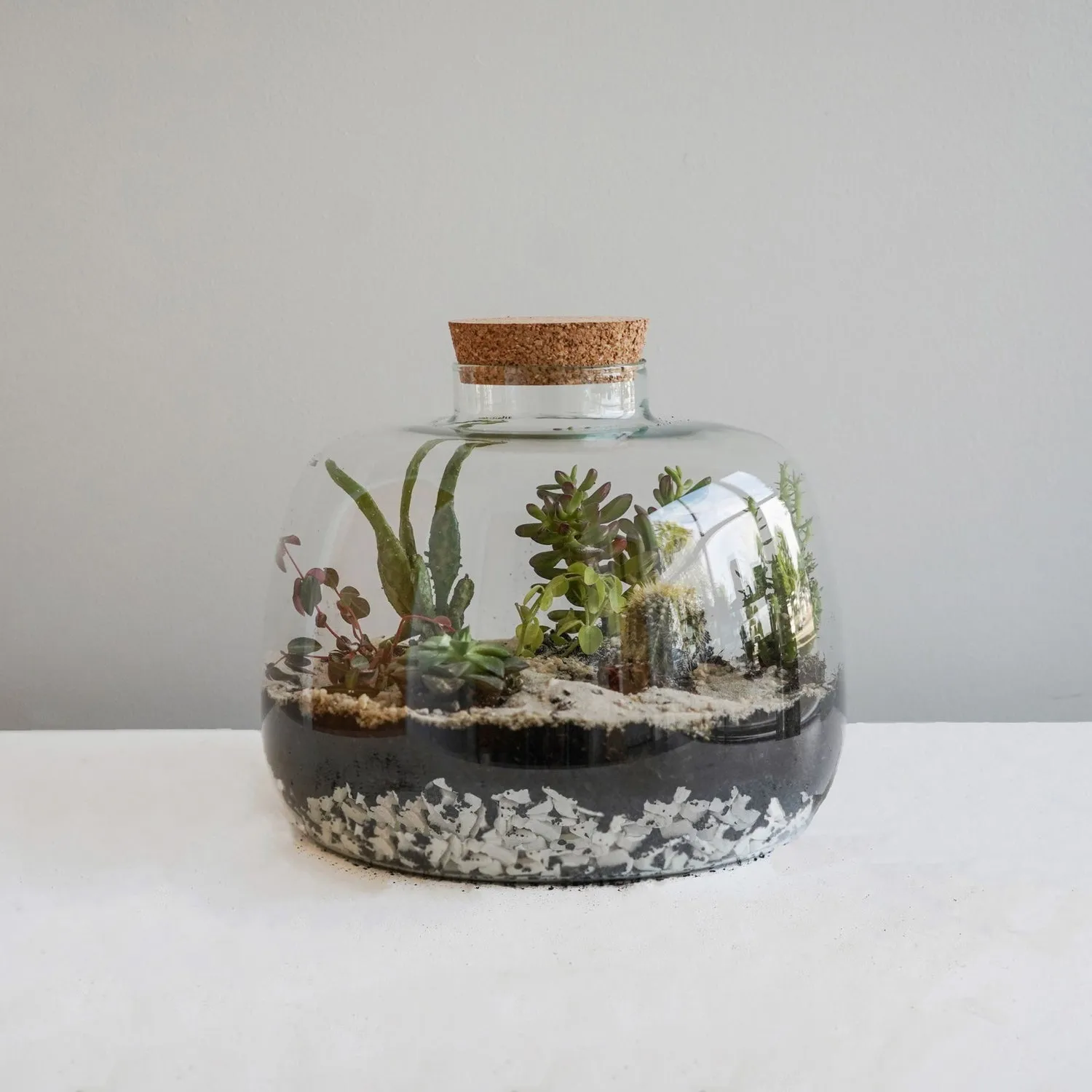 Bowl Shape Terrarium DIY Kit