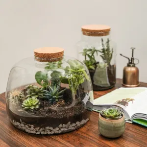 Bowl Shape Terrarium DIY Kit
