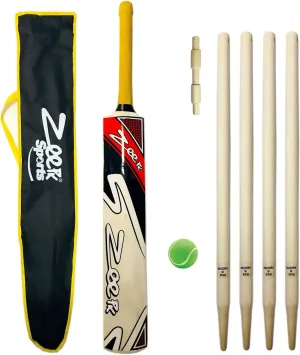 Complete Junior Cricket BAT KIT for Kids Age 8-14 Years Kashmir Willow BAT   WICKETS