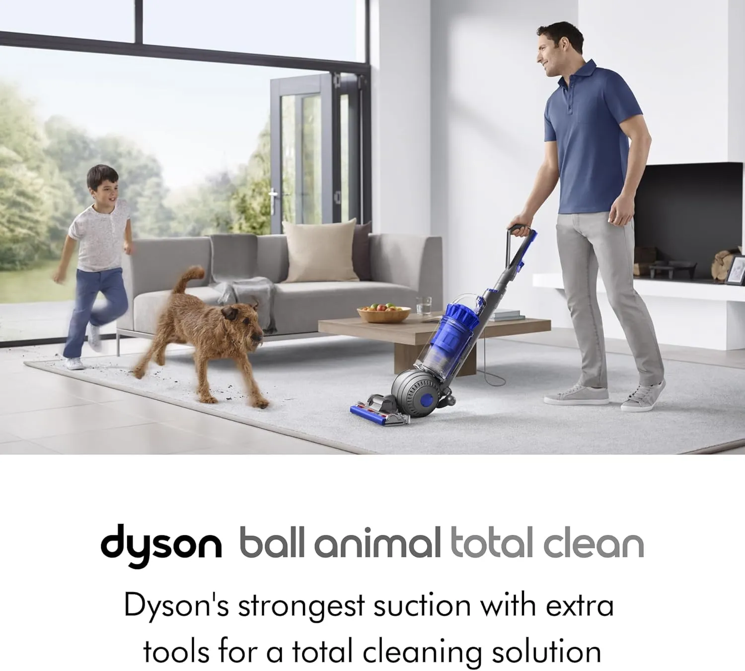 Dyson Ball Animal Total Clean Upright Vacuum, Iron/Blue