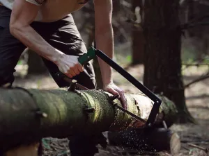 Folding Bow Saw - By Agawa Gear