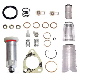 Gasket kit Compatible with Bosch DGK301 Supply Pumps ADS-DGK-301 Feed Pump kit 2447010004S