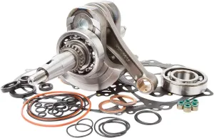 Hot Rods BOTTOM END KIT CBK0137 Compatible With/Replacement For Yamaha YFM 660 R Raptor 2005-2001