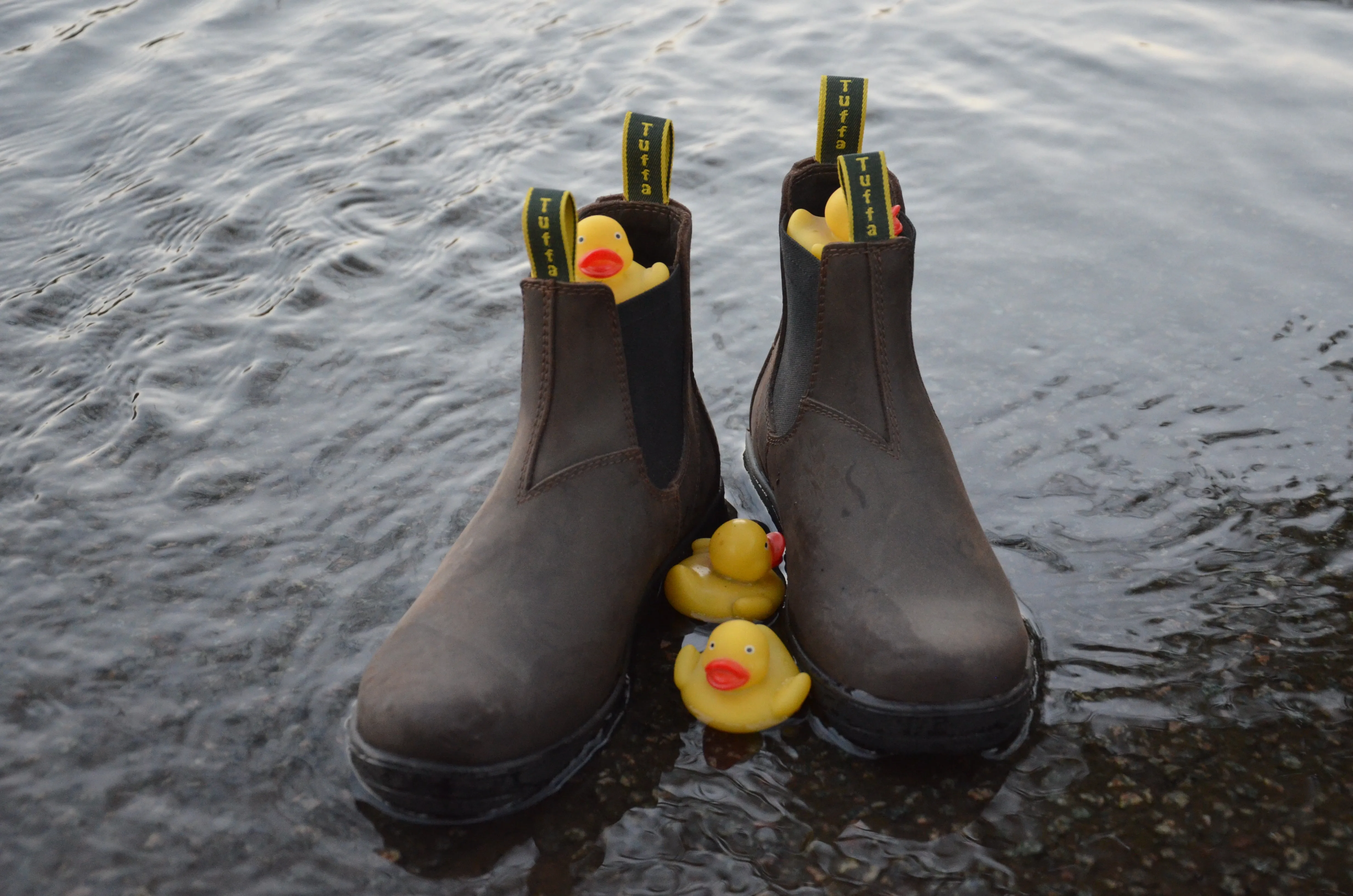 Iceni Waterproof Wide-Fit Jodhpur Boots