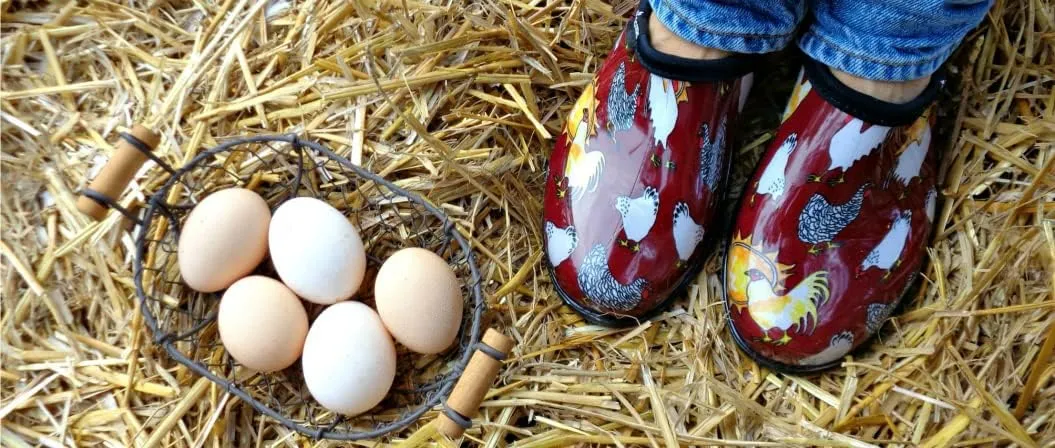 Sloggers Original Waterproof Rain and Garden Shoe for Women– Outdoor Slip-On Garden Clog - Made in The USA with Premium Comfort Insole and Arch Support - Chicken Print Barn Red, Size 11