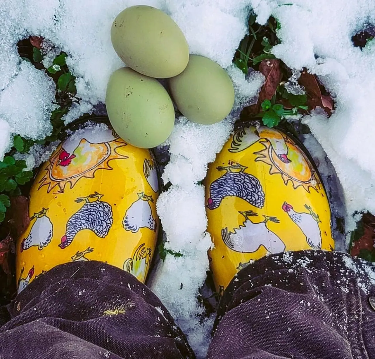 Sloggers Original Waterproof Rain and Garden Shoe for Women– Outdoor Slip-On Garden Clog - Made in The USA with Premium Comfort Insole and Arch Support - Chickens Daffodil Yellow, Size 8