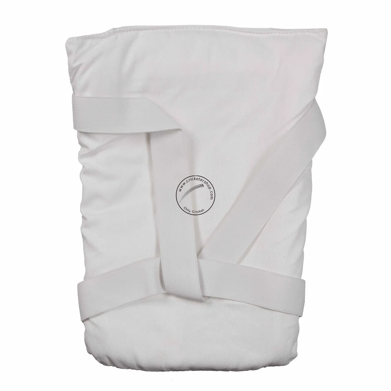 SS SKY Classic Kashmir Willow Cricket Kit