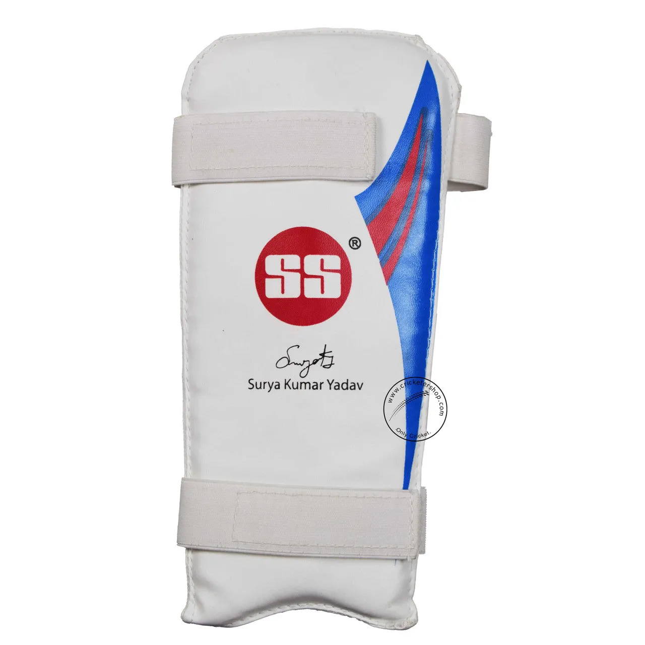 SS SKY Classic Kashmir Willow Cricket Kit