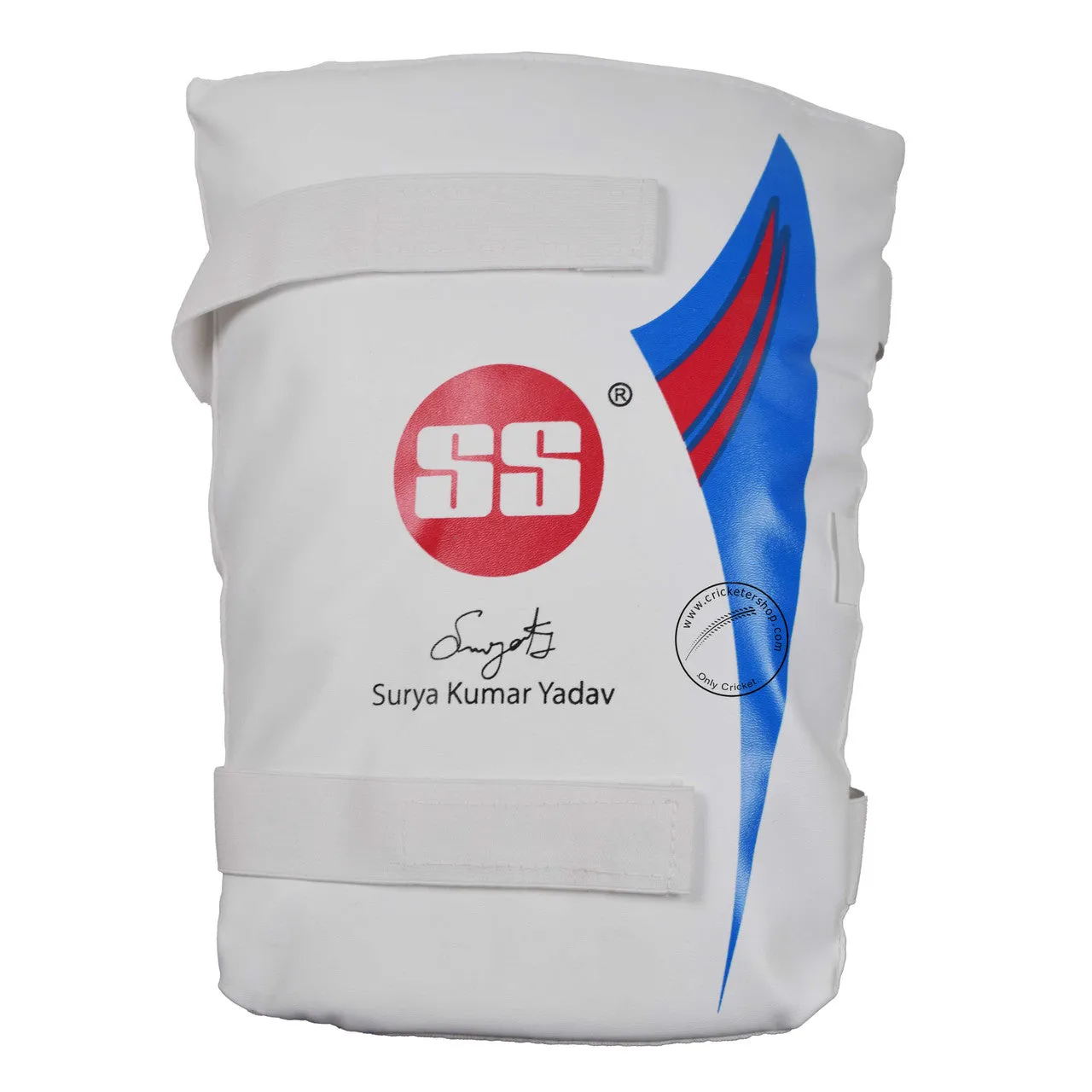 SS SKY Classic Kashmir Willow Cricket Kit