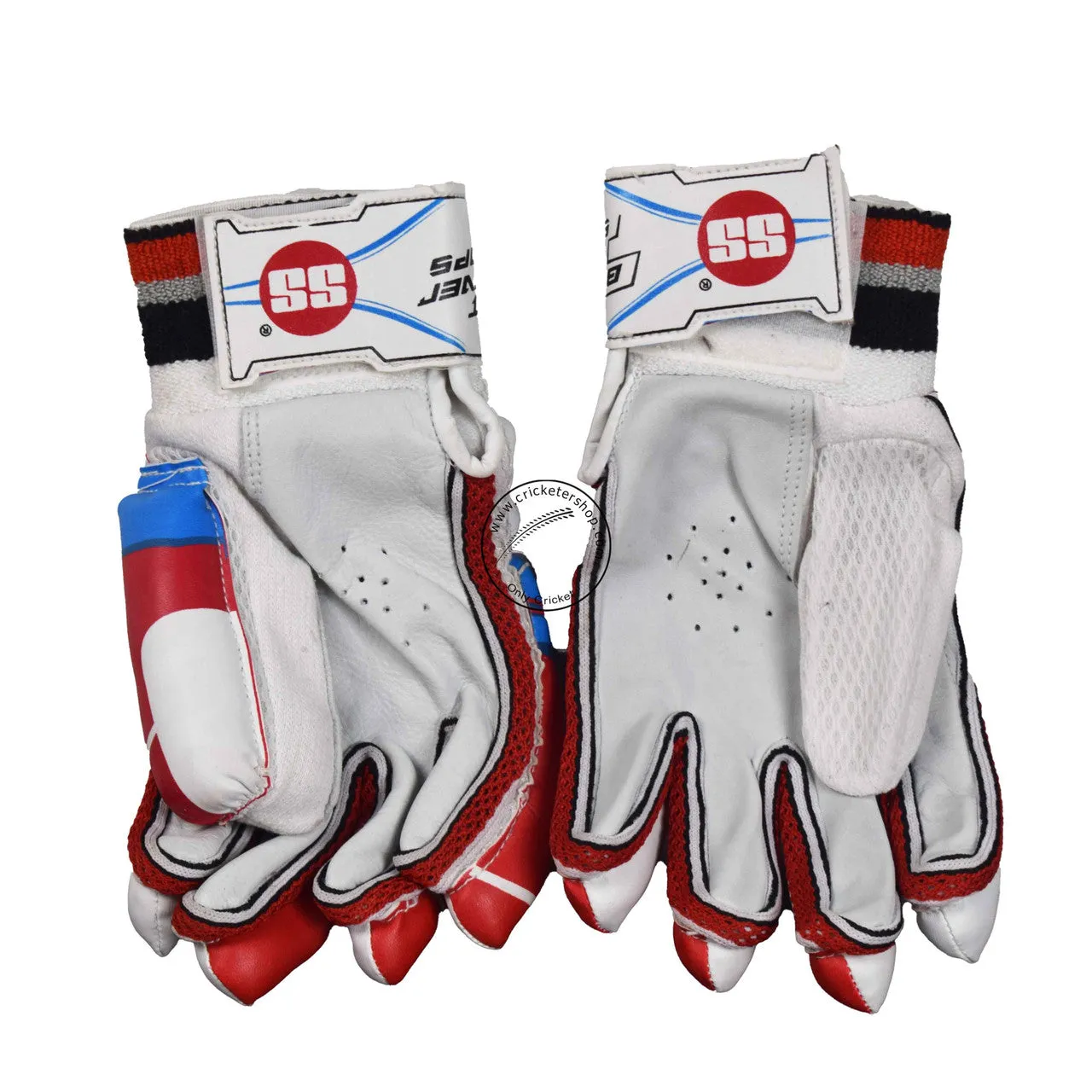 SS SKY Classic Kashmir Willow Cricket Kit