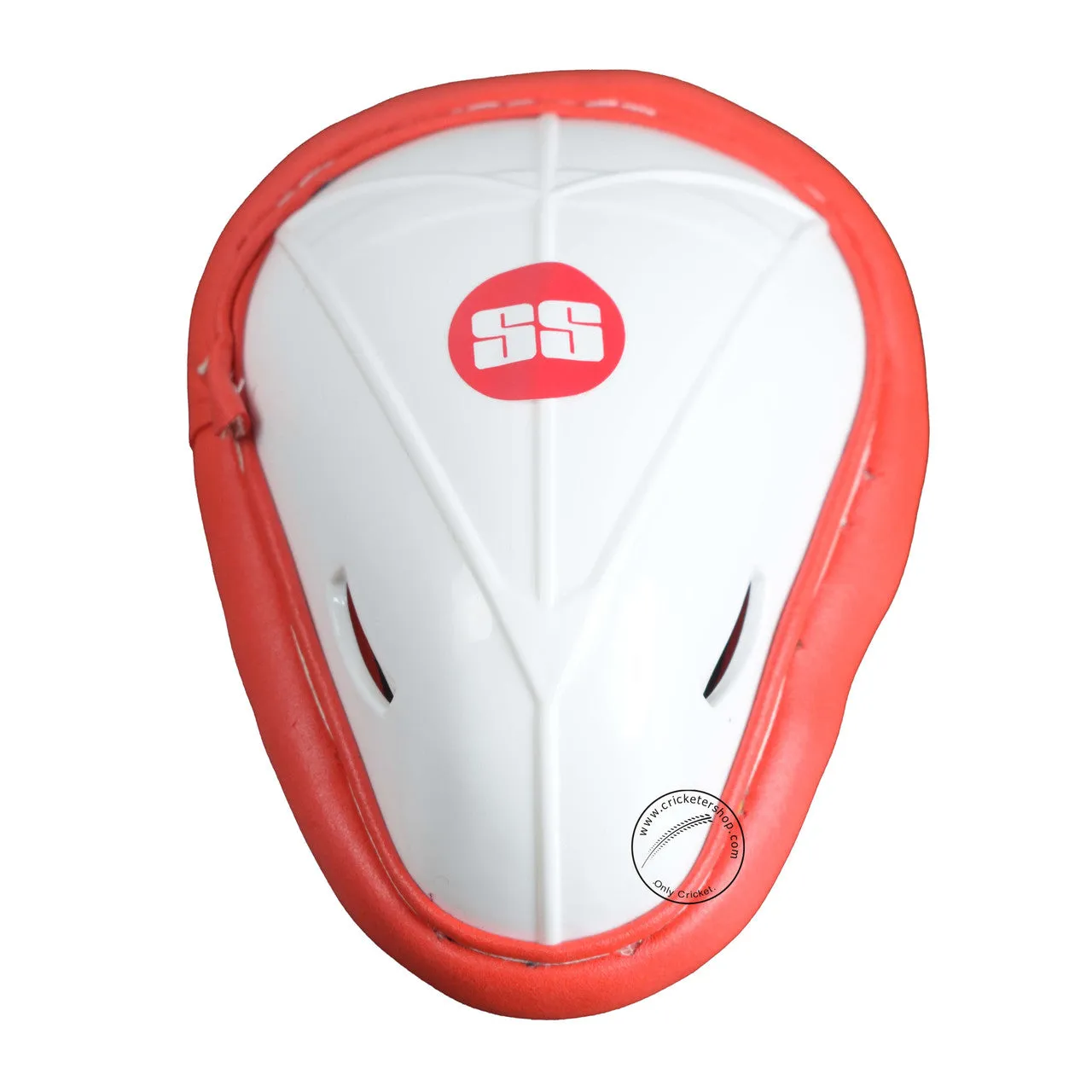 SS SKY Classic Kashmir Willow Cricket Kit