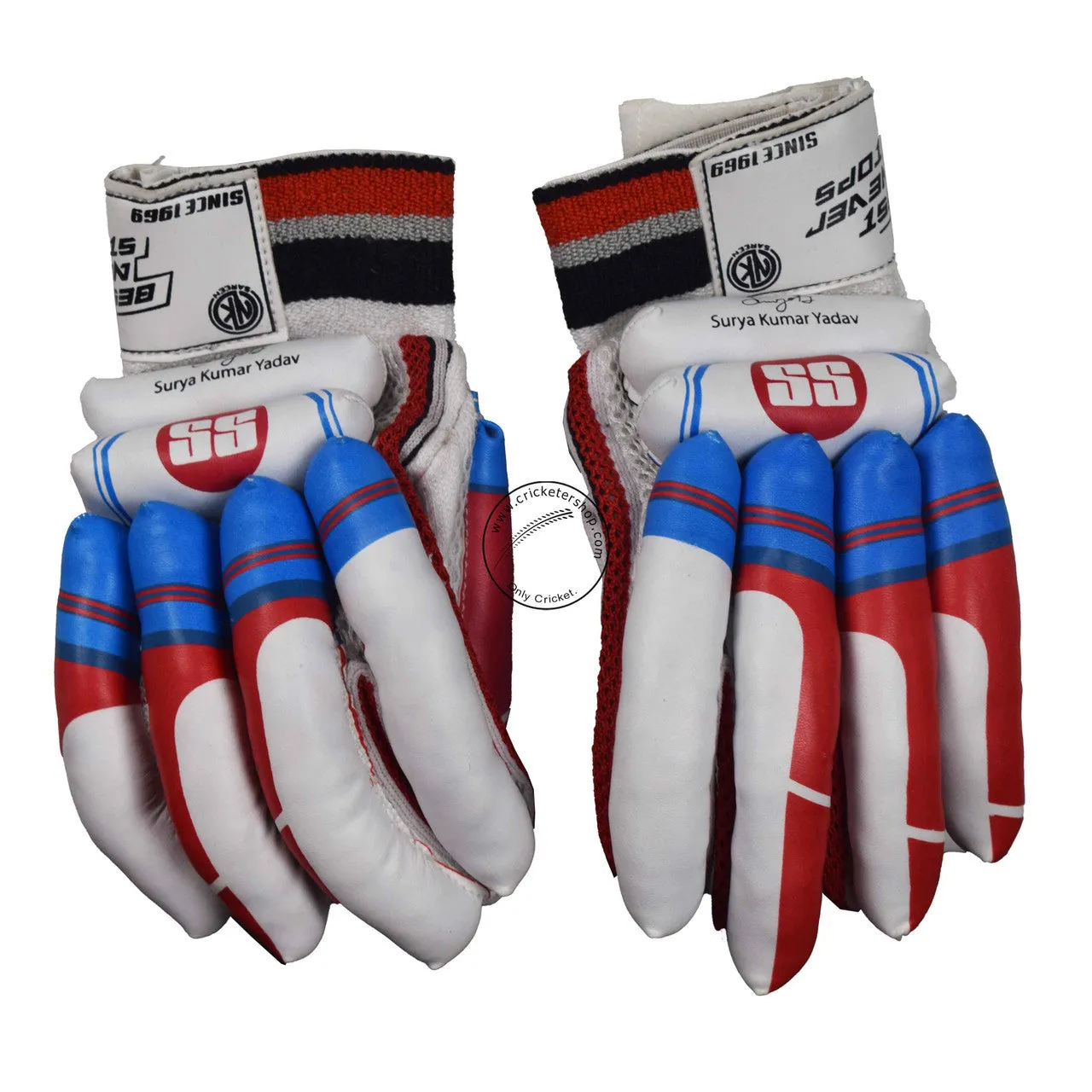 SS SKY Classic Kashmir Willow Cricket Kit