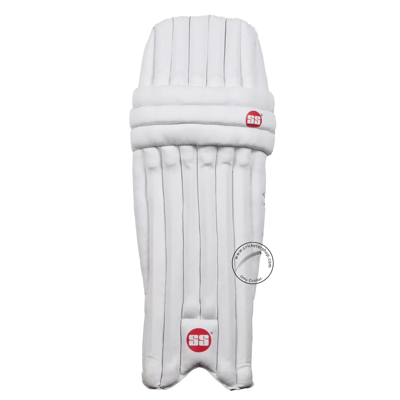 SS SKY Classic Kashmir Willow Cricket Kit