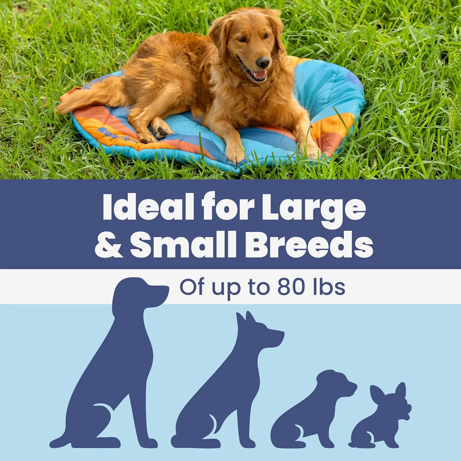Travel Dog Bed (42" x 30") – Foldable, Roll-Up Camping Dog Bed – Waterproof, Soft & Durable Mat with Extra Padding – Compact & Packable – Machine Washable – for Large & Small Breeds - Teal