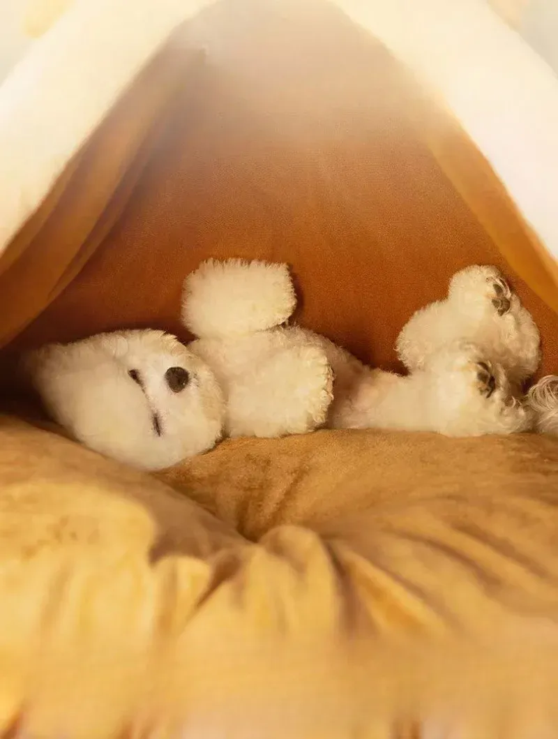 Triangle Pet Tent Bed – Four-Season Triangle Nest for Dogs & Cats with Plush Mattress
