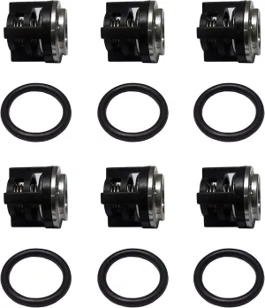 Ultimate Washer Replacement for Annovi Reverberi Pump Check Valves KIT 1828, 18mm, New Valves   O-Rings